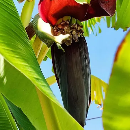 بيت للعطل G & M House *