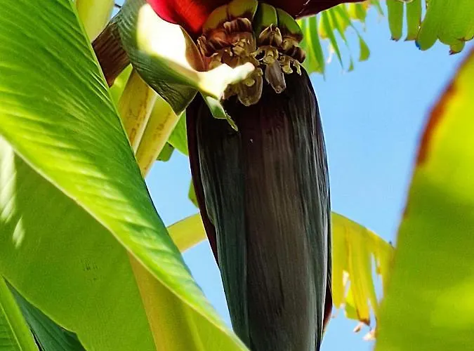 Holiday home G & M House *